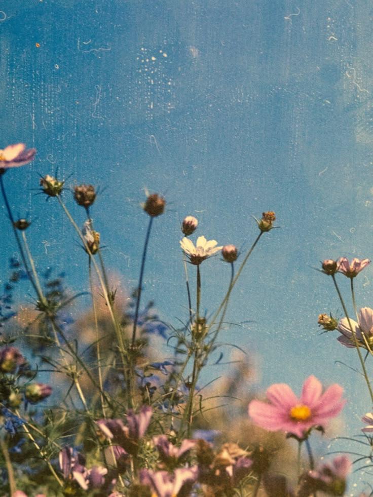 Timeless Whisper of Blooming Wishes