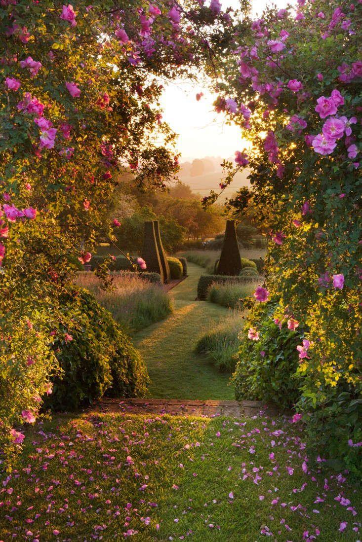Whispers of Nature's Elegance